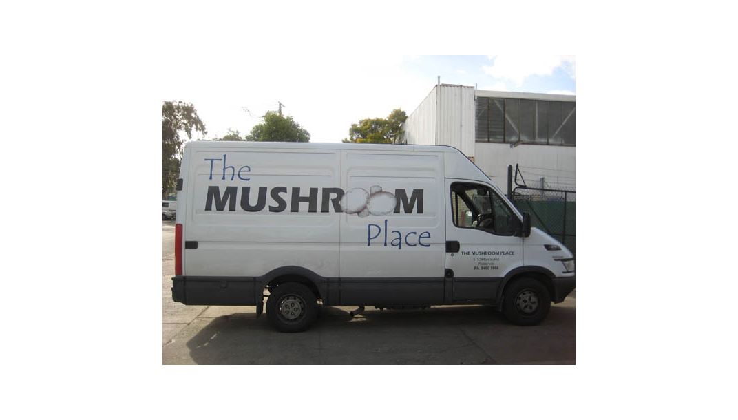 Vehicle Graphics